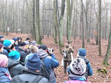 Edukacyjny zimowy spacer po Lesie Łagiewnickim 2024, 